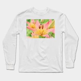 Lilium  &#39;Pink Pixie&#39;  Dwarf Asiatic lily Long Sleeve T-Shirt